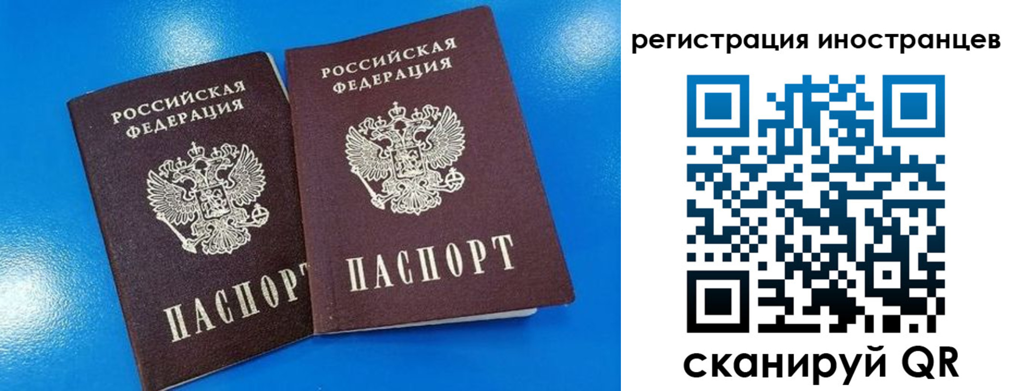 временная регистрация поиск в Оленегорске