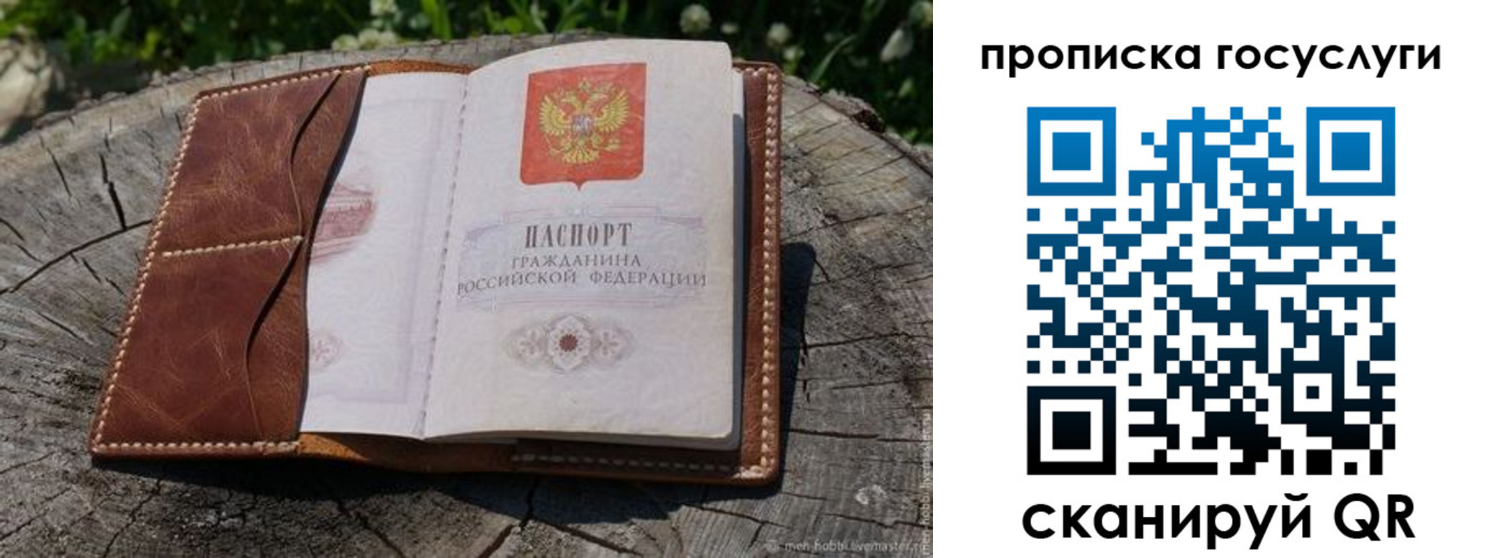прописка для школы в Оленегорске